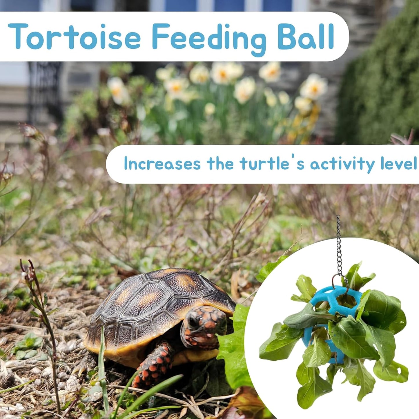 2 Pcs Tortoise Treat Ball, Hanging Hay Feeder for Small Animals, Turtle Foraging Toy with Fruit with Chain, Enrichment Feeding Ball for Pet Tortoise