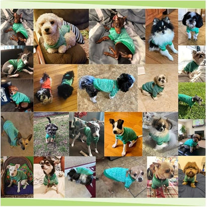 Jecikelon Dog Clothes Dogs Sweater Soft Puppies Clothing Winter Puppy Sweaters Warm Outfit for Dogs Small XXS XS Cat Apparel (Green, XXS)