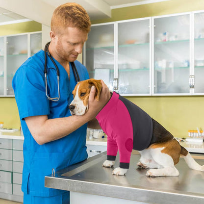 LeLePet Dog Recovery Suit for Front Legs, Dog Sleeve to Stop Licking, Elbow Protector for Leg Injuries Shoulder Wounds After Surgery Male Female,Zippered Long-Sleeved Shirt Cone Alternative(S-3XL)