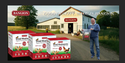 Dried Mealworms 10 Lbs-Organic MealWorms for Chickens & Birds, Non-GMO Meal Worms for Chickens, Wild Birds, Bluebirds, High Protein Chicken Feed Bird Treats, Worms for Chicken, Hens, Bird, Reptiles