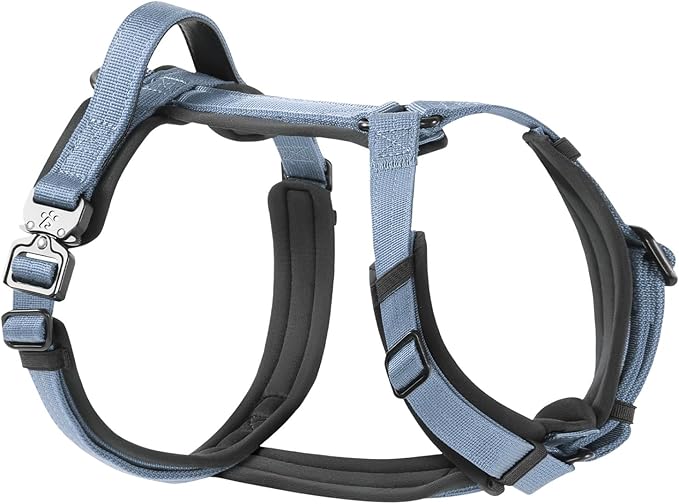 PawsPassion Dog Harness for X-Large Dogs, No Pull Dog Harness Easy Walk with Metal Hardware, Ergonomic Y-Shaped Design, Soft Padding, Padded Handle, Durable High-Tensile Nylon (Horizon, XL)