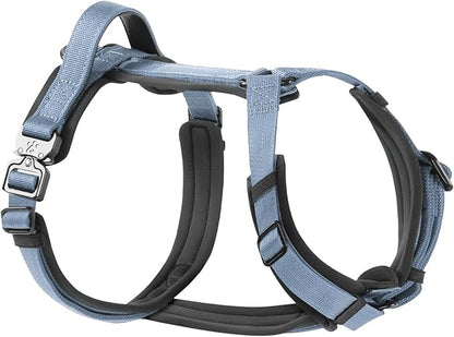 PawsPassion Dog Harness for X-Large Dogs, No Pull Dog Harness Easy Walk with Metal Hardware, Ergonomic Y-Shaped Design, Soft Padding, Padded Handle, Durable High-Tensile Nylon (Horizon, XL)