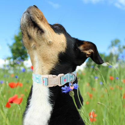 Dog Collar-Adorable Spring/Summer Puppy Collars-Adjustable Strawberry Pet Collar for Small,Medium,Large Dogs