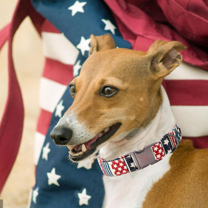 Elegant little tail Independence Day Dog Collar, Holiday Pet Collar Patriotic Dog Durable Dog Collars Girl or Boy Soft Pet Gift Adjustable Dog Collar for Small Medium Large Dogs