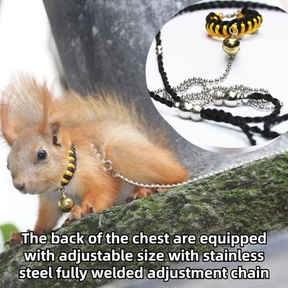 Squirrel Traction Rope Strap Anti-Biting Chain Rope, Small Animal Walking Collar Harness with Lead Leash for Hamster Gerbil Rat Mouse Ferret Chinchilla (Black)
