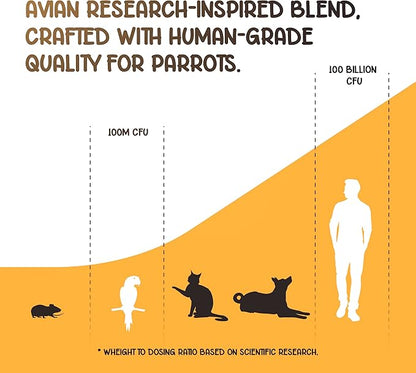 Parrot Probiotic, Prebiotic and Postbiotic, Pet Bird Supplies, Used with Water, Vitamins, Budgie Treats, Baby Parrot Formula, Parrot Medicine, Mix in Parrot Food