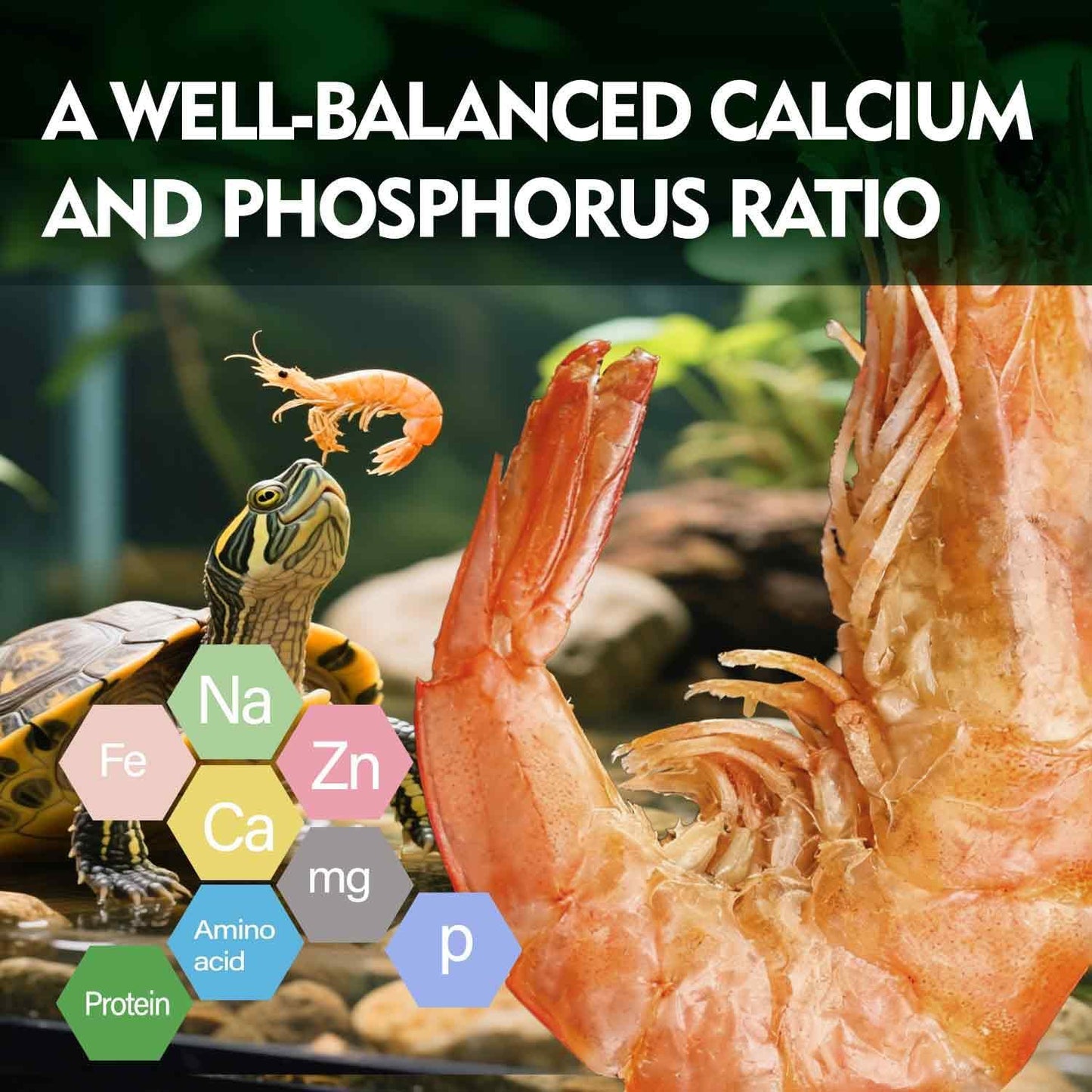 Freeze-Dried River Shrimp – Premium Turtle Food, Reptile & Bird Treat – High-Protein Shrimp for Turtles, Aquatic Pets, Tropical Fish, 1.5 oz