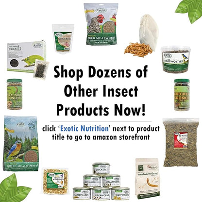 Cricket Crunch (1.6 oz) - All Natural Healthy High Protein Insect Treat - Chickens, Birds, Hedgehogs, Bluebirds, Reptiles, Sugar Gliders, Opossums, Skunks, Lizards, Fish, Turtles, Amphibians (1.6 oz.)