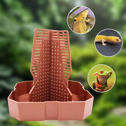 Bearded Dragon Tank Accessories, Lizard Feeder, Reptile Food Cup, Dubia Roaches Organizer with Column for Prey to Climb and Move, Food Bowl for Bearded Dragon, Gecko, Frog