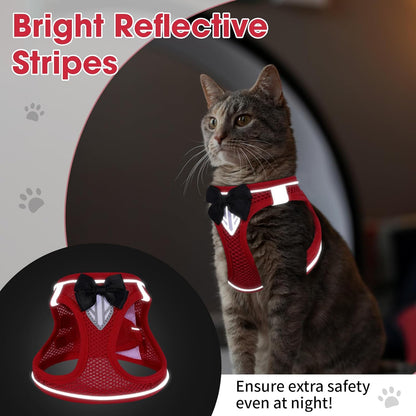 Cat Vest Harness and Leash Set for Walking, Escape Proof, Adjustable Kitten Harness, Breathable Mesh with Reflective Strips, Detective Conan-Inspired Design, Red, XS