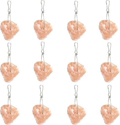 PINVNBY 12 Pieces Rabbit Himalayan Salt Lick Block,Pink Small Pets Natural Mineral Salts Blocks with Hook Hanging Small Animals Treat Chew Toys for Rabbits Horses Bunny