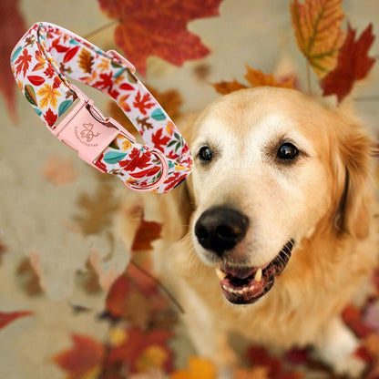 Elegant little tail Fall Dog Collar, Autumn Leaves Pet Collar Durable Dog Collars Male or Female Holiday Pet Gift Adjustable Dog Collar for Small Dogs