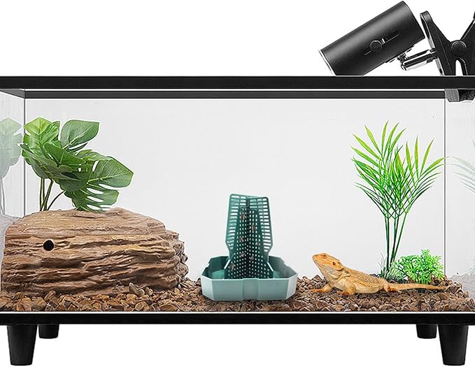 Bearded Dragon Tank Accessories, Lizard Feeder, Reptile Food Cup, Dubia Roaches Organizer with Column for Prey to Climb and Move, Food Bowl for Bearded Dragon, Gecko, Frog