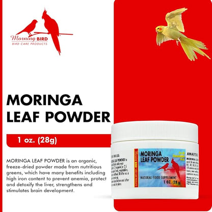 Morning Bird Moringa Leaf Powder 1 oz – Natural Food Supplement for Birds, Rich in Vitamins & Minerals, Boosts Immune System & Energy, Supports Healthy Feathers, Digestion, and Overall Avian Wellness