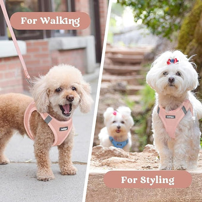 rabbitgoo Small Dog Harness, Step-in Soft Mesh Puppy Vest with Safety Buckle, Breathable Reflective Pet Harness for Small Medium Dogs, Pink XL