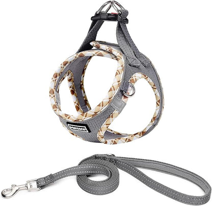 Mercano Soft Mesh Dog Harness and Leash Set, No-Chock Step-in Reflective Breathable Lightweight Easy Walk Vest Harnesses with Safety Buckle for Small Dogs, Cats (Grey, XS)