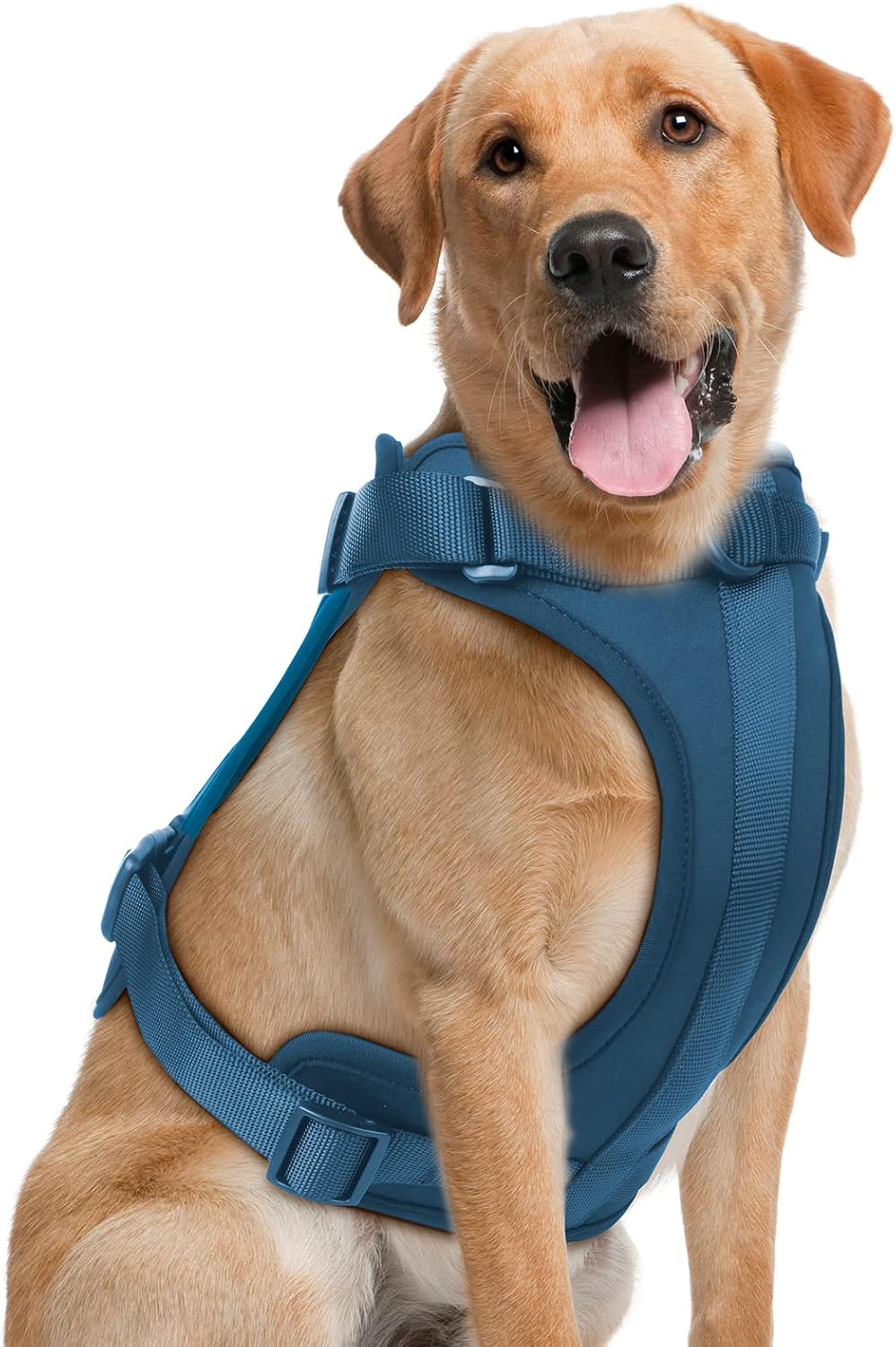No Pull Lightweight Dog Harness: Adjustable Durable Breathable Mesh Pet Vest Harness with Soft & Comfortable Cushion, for Small Medium Large Dogs (L, Navy)