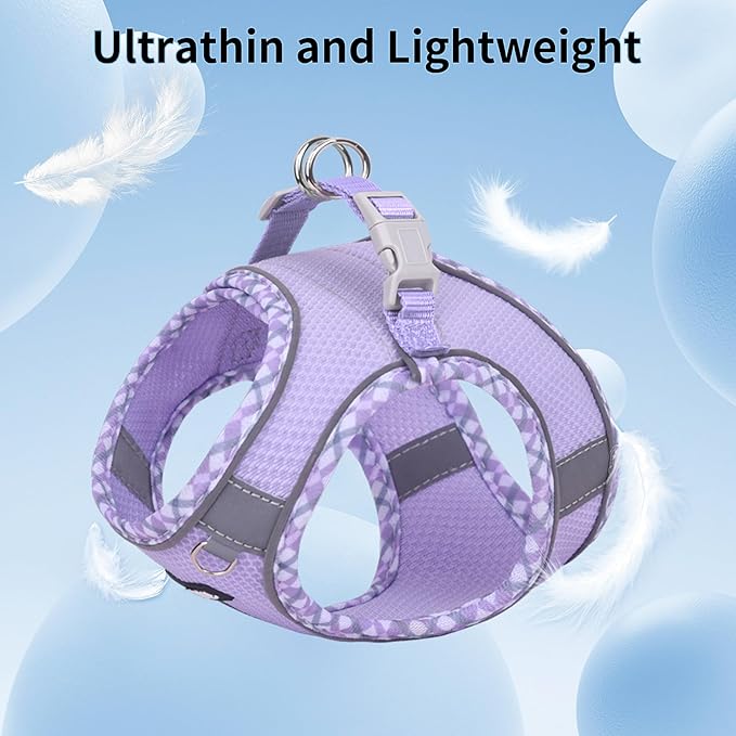 AIITLE Tiny Dog Harness - Lightweight Mesh Step-in Vest for Puppy, Reflective & Escape-Proof Design with High-Stick Magic Tape - Indoor/Outdoor Use for Chihuahua, Maltese, Shih Tzu(Purple, XXXS)