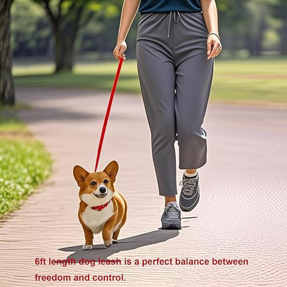 6 FT Puppy Leashes, Strong Traditional Style Leash with Easy to Use Collar Hook,Dog Lead Great for Small and Medium and Large Dog (Rainbow, 5/8 in x 6 ft)