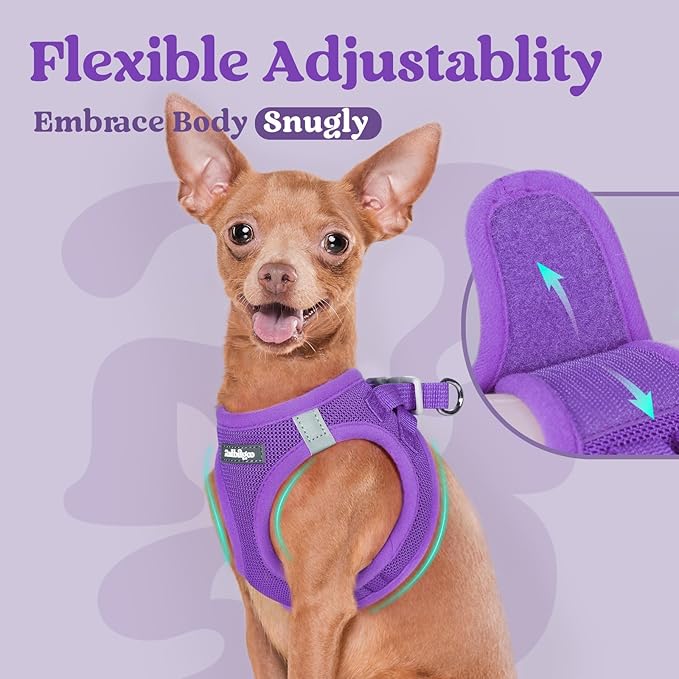 rabbitgoo Small Dog Harness, Step-in Soft Mesh Puppy Vest with Safety Buckle, Breathable Reflective Pet Harness for Small Sized Dogs, Purple S