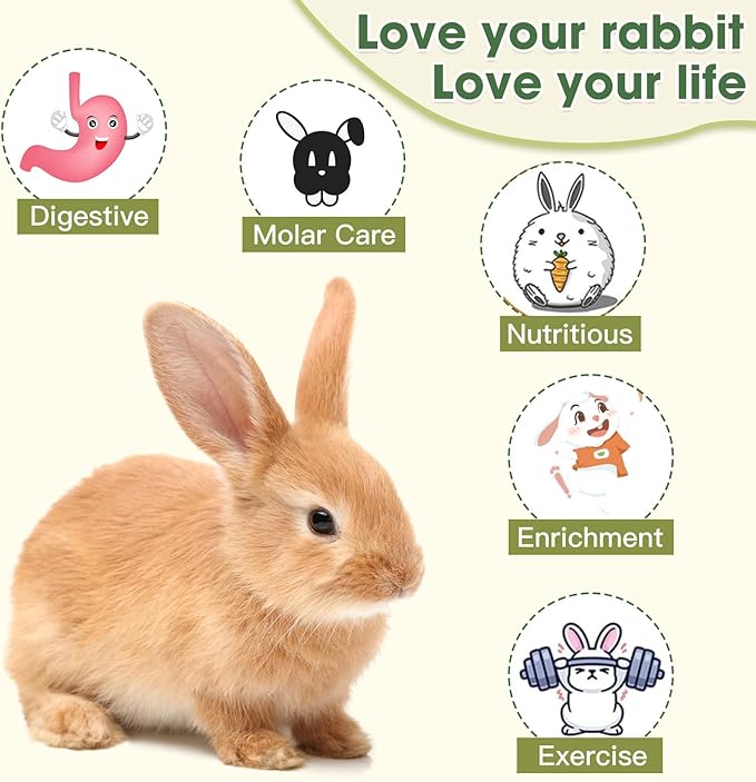 Natural Reedgrass Chew Toy Basket for Small Pets – Hanging Rodent Dental Toys with Hay Lollipop, Apple Sticks, Sweet Bamboo (Hamsters, Rabbits, Chinchillas, Guinea Pigs)