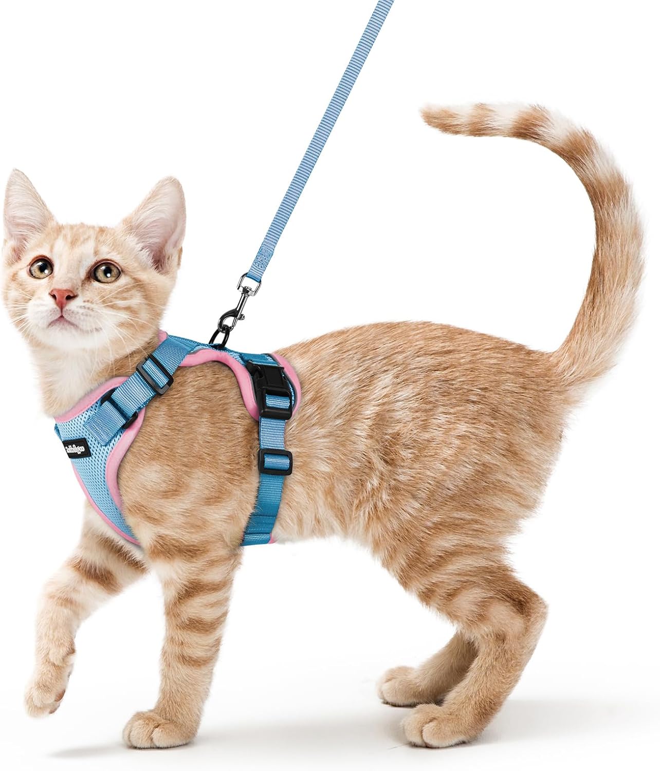 rabbitgoo Cat Harness and Leash for Walking, Escape Proof Soft Adjustable Vest Harnesses for Cats, Easy Control Breathable Reflective Strips Jacket, Light Blue&Pink, XS