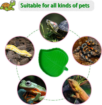 NGORAY Tortoise Feeding Dish with Ramp and Basking-Platform - Leaf Tortoise Water Food Bowls, Reptile Water Dish Amphibians Habitat, Reptile Water Bowl Fit for Amphibians with Forcep Cleaning Clip