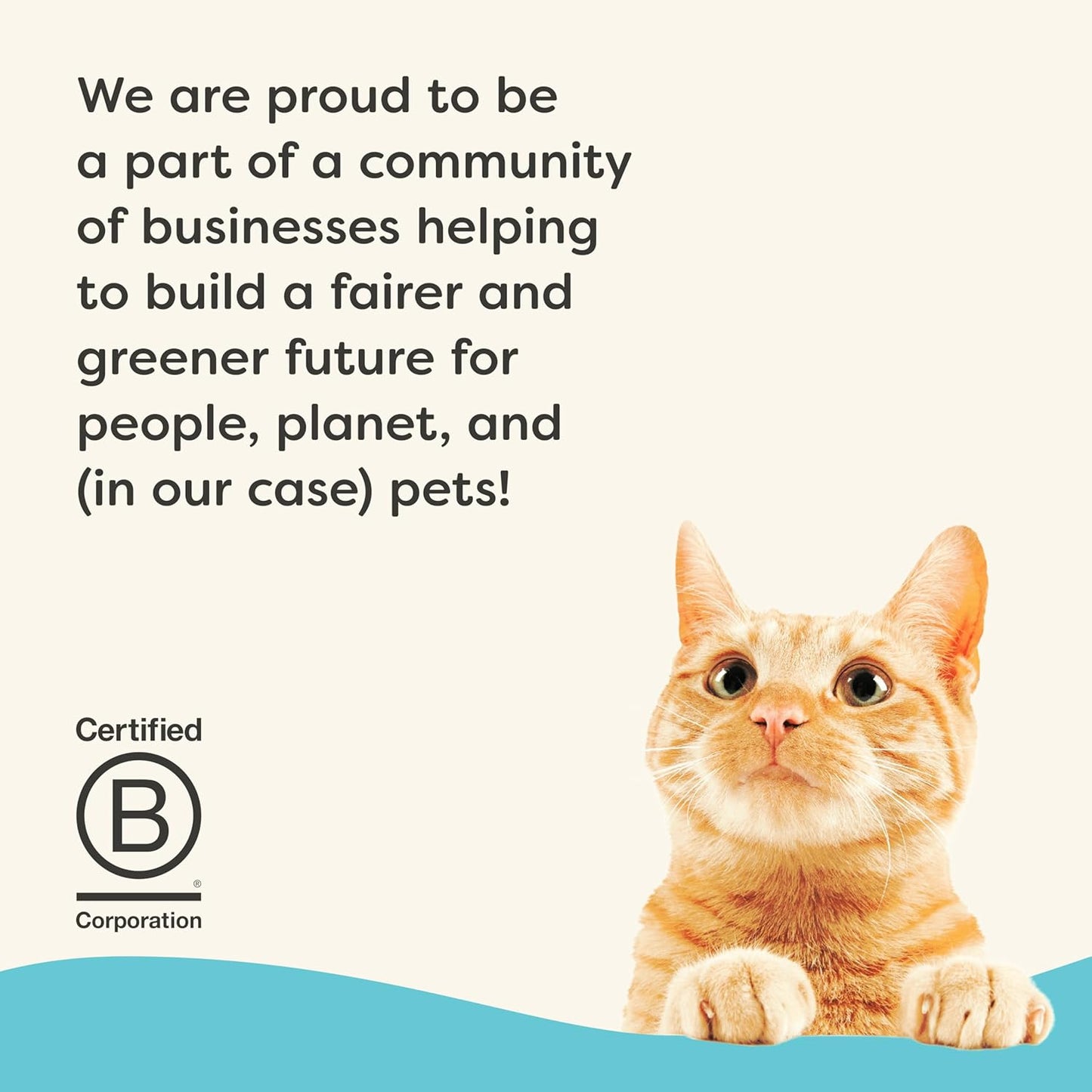 Applaws Vitality Wet Cat Food Paté, Natural Cat Food with Added Vitamins & Minerals, Grain-Free, Carrageenan Free, Tuna Fillet Recipe (24 Count, 5.5oz Cans)