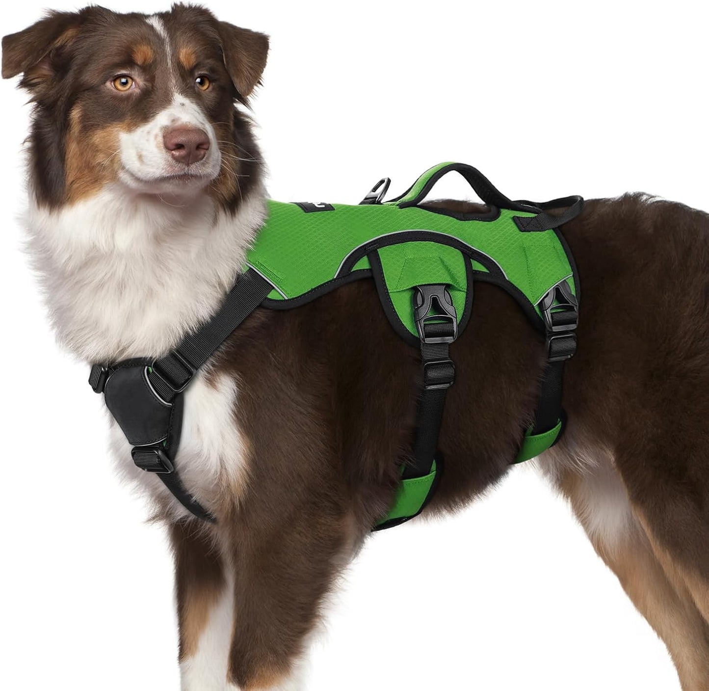 rabbitgoo Escape Proof Dog Harness, Soft Padded Full Body Pet Harness, Reflective Adjustable No Pull Vest with Lift Handle and Lesh Clip for Large Dogs Walking Hiking Training, M, Green