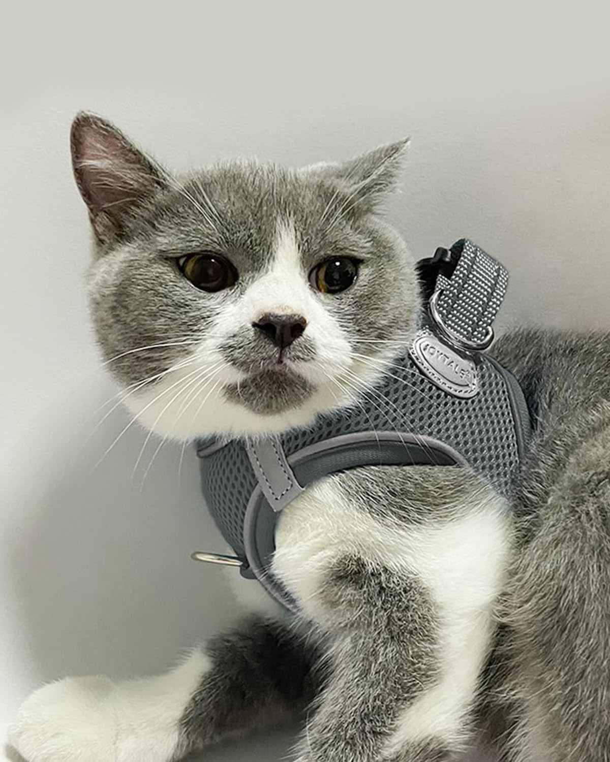 Joytale Small Dog Harness, Breathable Mesh Step-in Vest, Reflective Soft Padded Harnesses for Cats and Puppies Dogs, Gray, XXXS