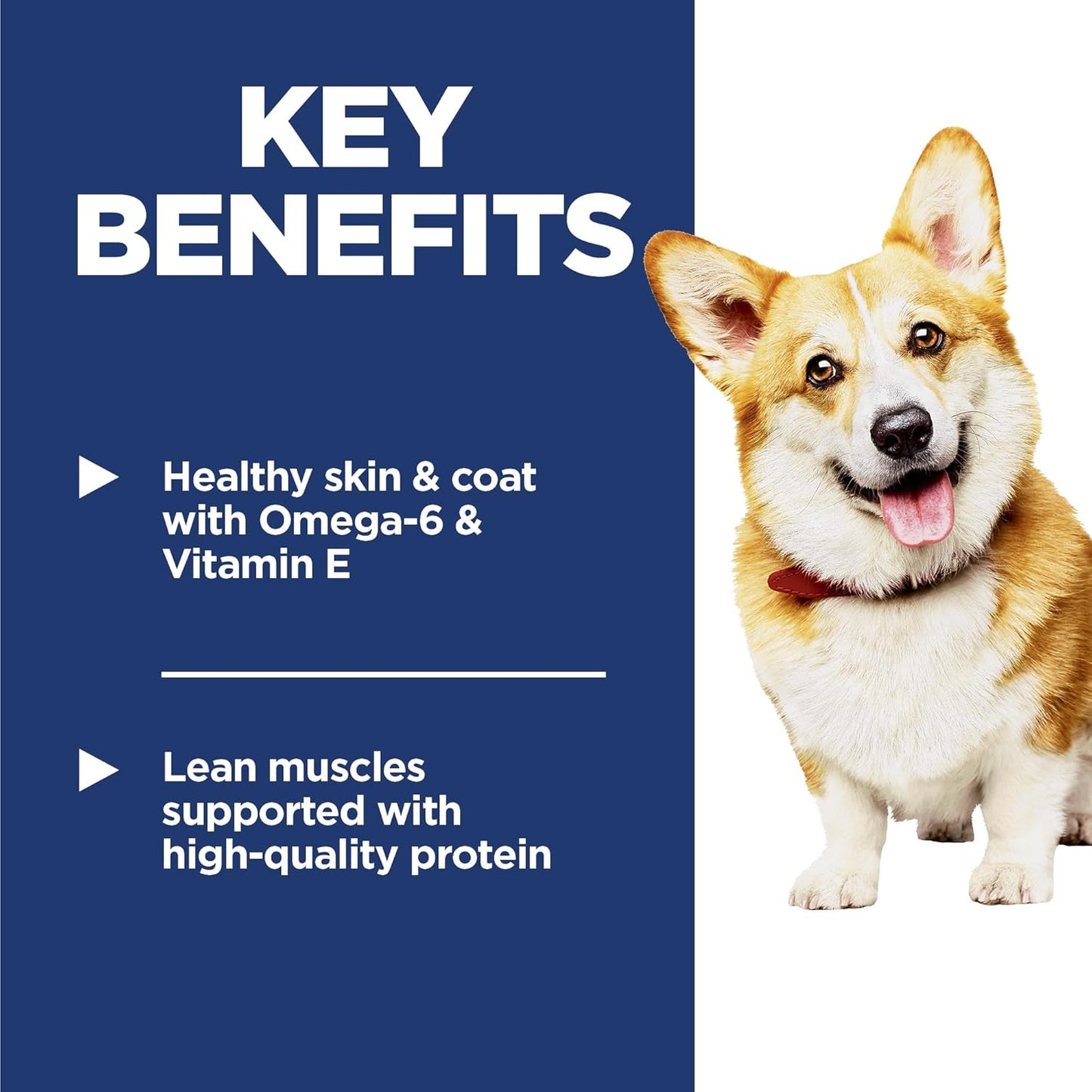 Hill's Science Diet Adult 1-6, Adult 1-6 Premium Nutrition, Small Kibble, Dry Dog Food, Chicken & Barley, 35 lb Bag