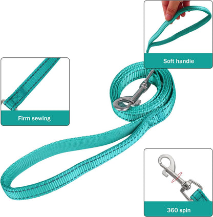 YIMEIS Dog Harness and Leash Set, No Pull Soft Mesh Pet Harness, Reflective Adjustable Puppy Vest for Small Medium Large Dogs, Cats (Turquoise, Medium (Pack of 1)