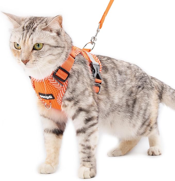 Cat Harness and Leash Escape Proof Large Kitten Harness Ragdoll Cat Vest for Walking Travel, Orange, L