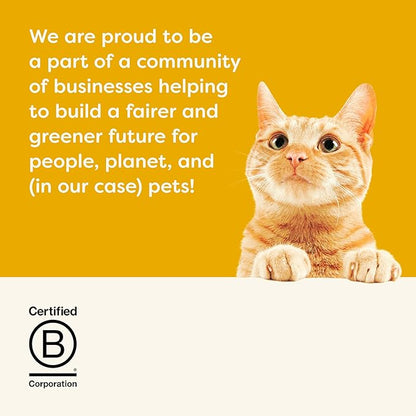 Applaws Natural Wet Canned Cat Food, Limited and Natural Ingredients, High Protein with No Artificial Additives, Chicken Selection Variety Pack in Broth (12 x 2.47oz Cans)