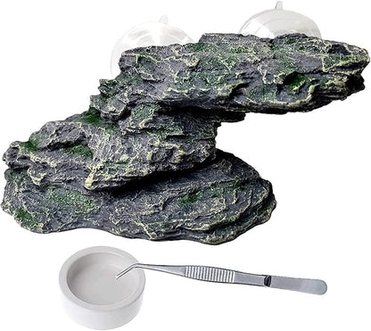 PINVNBY Basking Platform for Turtles Tortoise Dock Resin Resting Rock Reptile Habitat Climbing Ornament Floating Ledge Aquarium Decoration with 2 Pcs Suction Cups for Frogs, Newts,Lizard(3 Pcs)