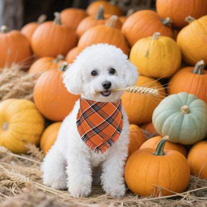 PTDECOR Fall Dog Bandanas with Tassels Edges, Orange and Brown Plaid Scarf Bib, Halloween Thanksgiving Autumn Pet Bandana, Reversible Triangle Bandanas for Small Dogs Puppies Cats(Small)