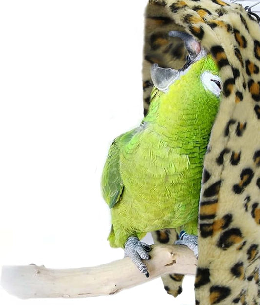 SIMENA Bird Blanket for Cage, Corner Fleece Bed for Birds, Cozy Bird Warmer, Parrot House for Cage, Cuddle Nest Hanging Toy for Lovebirds Parakeet (Yellow, XL)