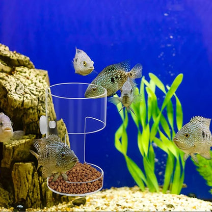 New Fish Tank Feeding Tray with Suction Cup, Feeding Tube Supplies, Tank Divider Supplies, Breeder Box for Aquarium, Round Aquariums & Fish Bowls Accessories
