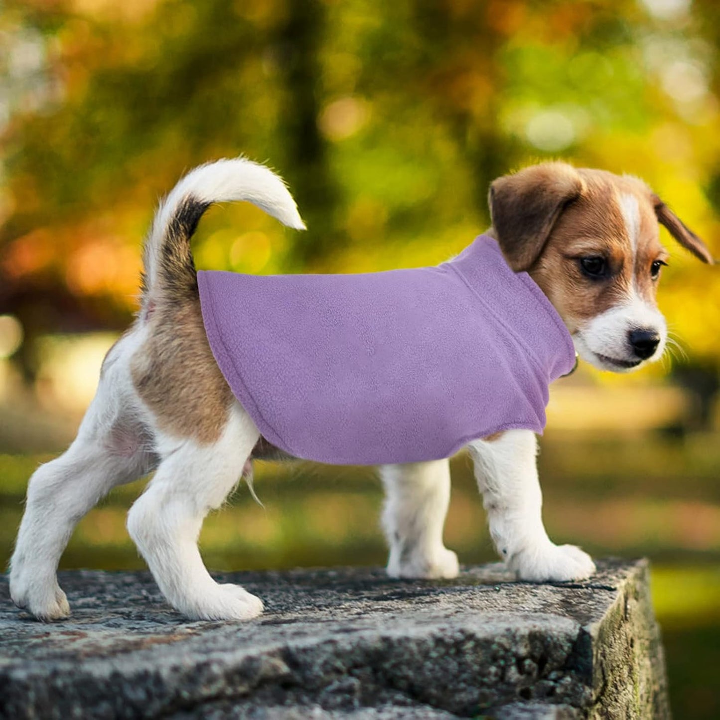 FUAMEY Dog Fleece Vest for Small Dogs,Warm Stretchy Dog Sweatshirts Pullover with Leash Hole Dogs Sweater Soft Pet Turtleneck Cozy Pet Vest Lightweight Sleeveless Purple XXS