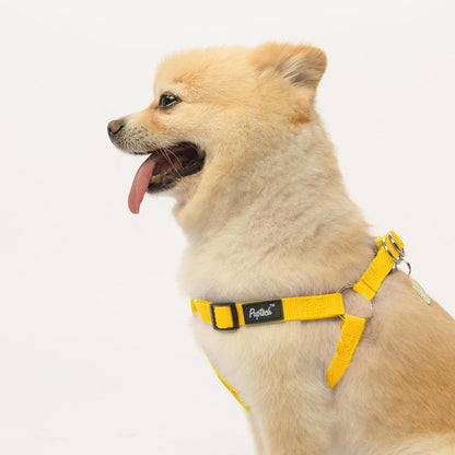 PUPTECK No Pull Dog Harness Soft Adjustable Basic Nylon Step in Puppy Vest Outdoor Walking with ID Tag, Yellow, L