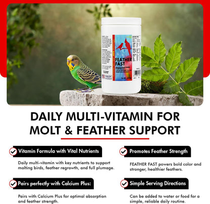 Morning Bird Feather Fast 16 Oz – Multi-Vitamin During Molt - Molting Support Supplement for Bird – Amino Acid & Vitamin Powder Formula– Promotes Feather Growth, and Full Plumage – for All Adult Birds
