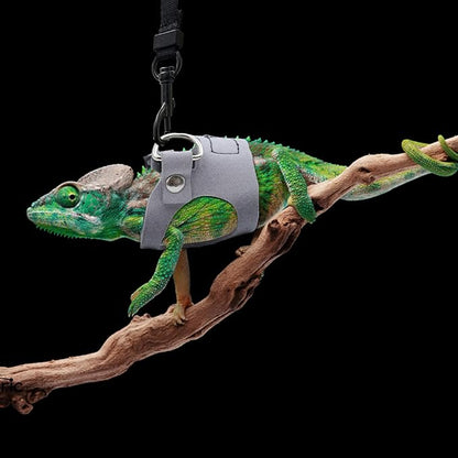 Bearded Dragon Harness and Leash Set, 3 Size Adjustable Soft Leather Reptile Leash, Lizard Harness with Retractable, Small Animal Outdoor Walking Vest with Traction Rope, 3 Pack, Grey