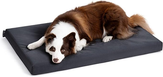 Cybarmour Chew Proof Dog Bed - Orthopedic Indestructible Dog Crate Pad - Outdoor Waterproof Kennel Mat for Aggressive Chewers - Large Breeds & Fits 36-Inch Crate - 35"x22", Black