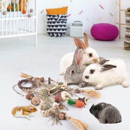 Bissap 3 PCS Rabbit Chew Toy, Bunny Cage Hanging Chew Toys Treats Rattan Ring with Snacks Water Grass Wooden Block Carrot for Guinea Pigs Chinchillas Hamsters Rats and Other Small Pets Teeth Grinding