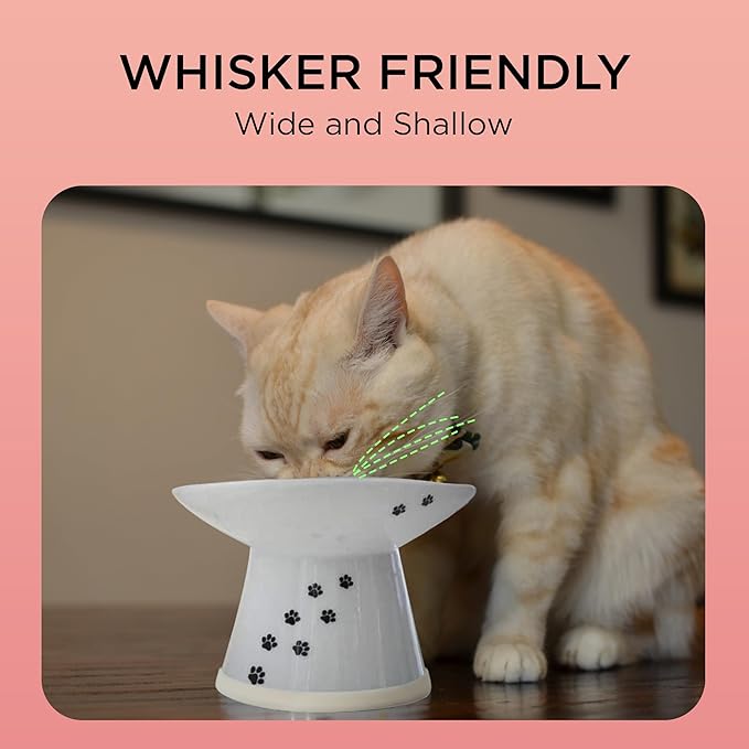 Necoichi Raised Cat Food Bowl – Ceramic Elevated Cat Bowl for Whisker & Neck Fatigue, Dishwasher Microwave Safe – Non-Slip & Anti Vomiting Ergonomic Design (Cats, Extra Wide)