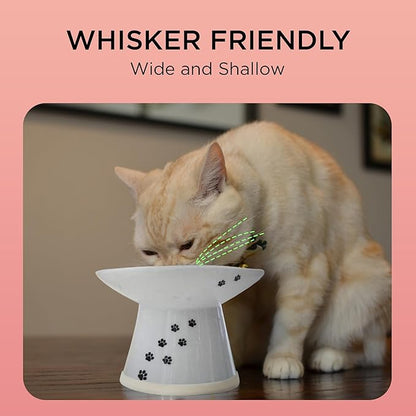 Necoichi Raised Cat Food Bowl – Ceramic Elevated Cat Bowl for Whisker & Neck Fatigue, Dishwasher Microwave Safe – Non-Slip & Anti Vomiting Ergonomic Design (Cats, Extra Wide)