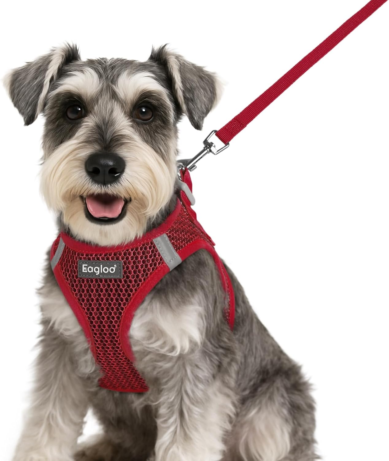 Eagloo Small Dog Harness and Leash Set, Step in Puppy Vest with Breathable Soft Mesh, Walking Reflective Pet Harness for Small Dogs, Red, S