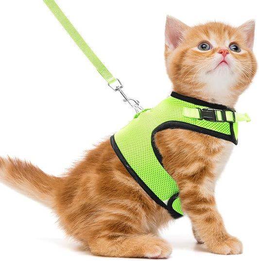 PUPTECK Soft Mesh Cat Vest Harness and Leash Set Puppy Padded Pet Harnesses Escape Proof for Cats Small Dogs Rabbits Bunny