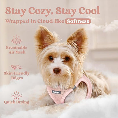 rabbitgoo Small Dog Harness, Step-in Soft Mesh Puppy Vest with Safety Buckle, Breathable Reflective Pet Harness for Small Sized Dogs, Pink M