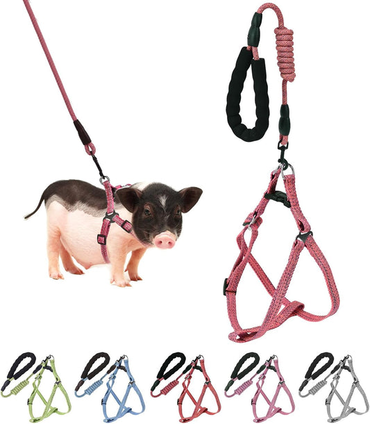 Mini Pig Harness, Adjustable Small Pig Harness with Leash Infinity Style Lead and Soft Foam Handle for Small to Medium Pet Pigs Walking Training Jogging (Red, M)